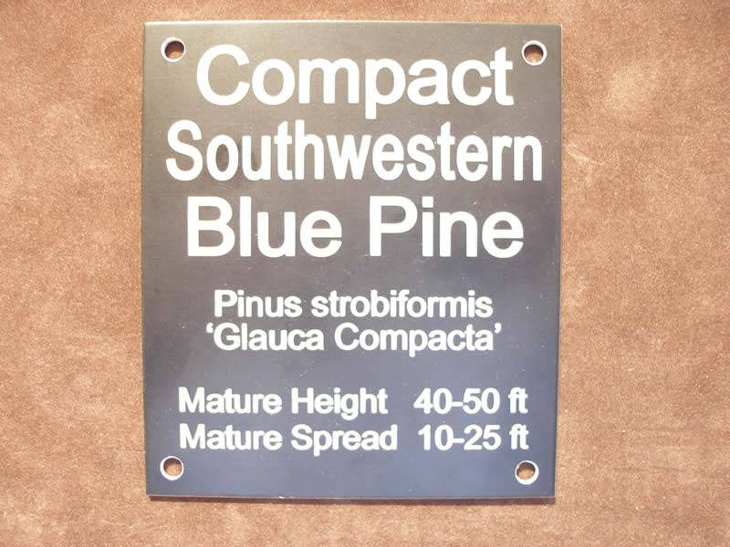 Anodized Aluminum, Laser Engraved Sign