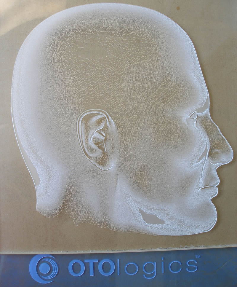 Business Display, Acrylic Photo Laser Engraved